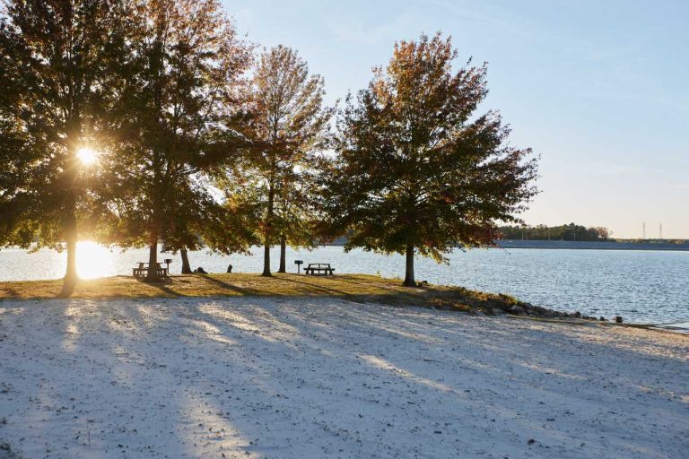 W.-TN_Hardin_Pickwick-Lodge_Park_1651-1-768x512